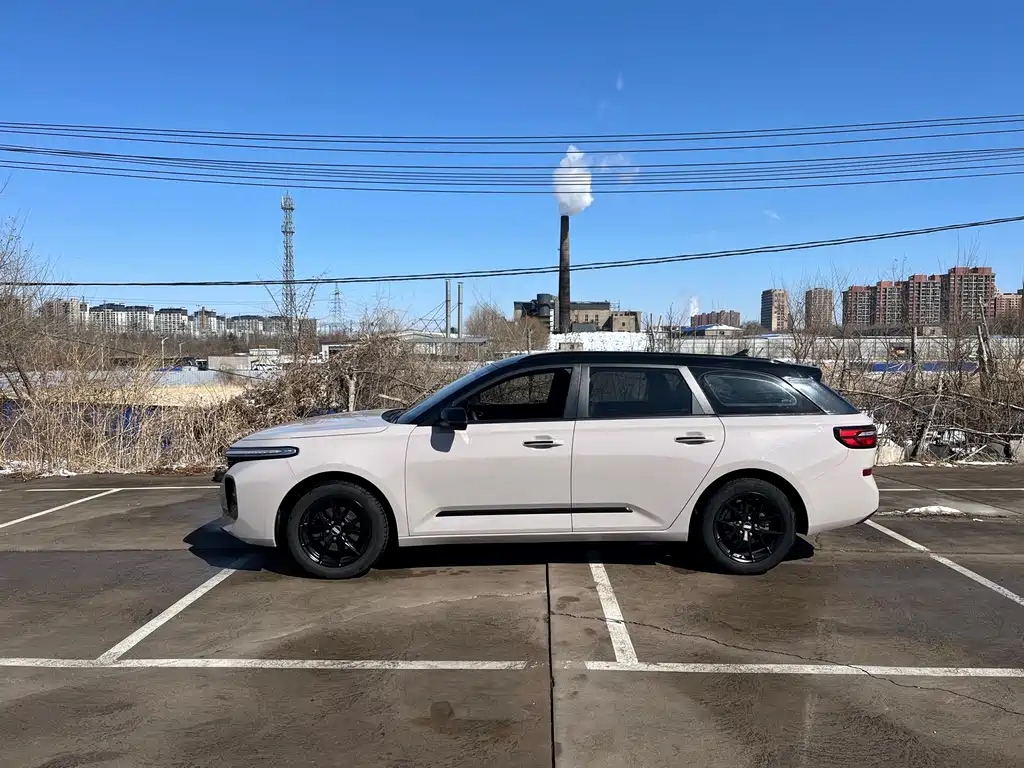 Baojun Valli 2021 1.5T Yili Ranch CVT luxury model купить на сайте DeffCars