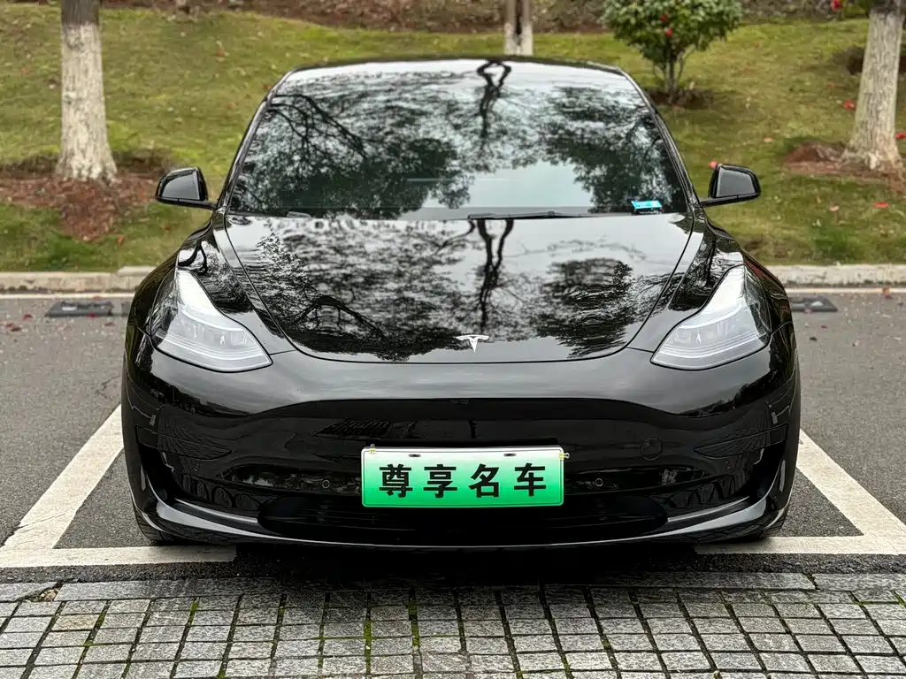 Model 3 2022 rear-wheel drive version купить на сайте DeffCars