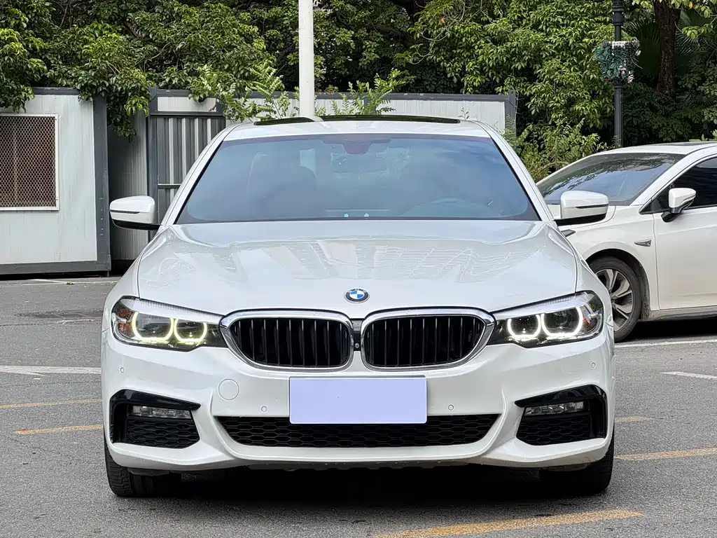 BMW 5 Series 2018 facelift 530Li leading M sports package купить на сайте DeffCars