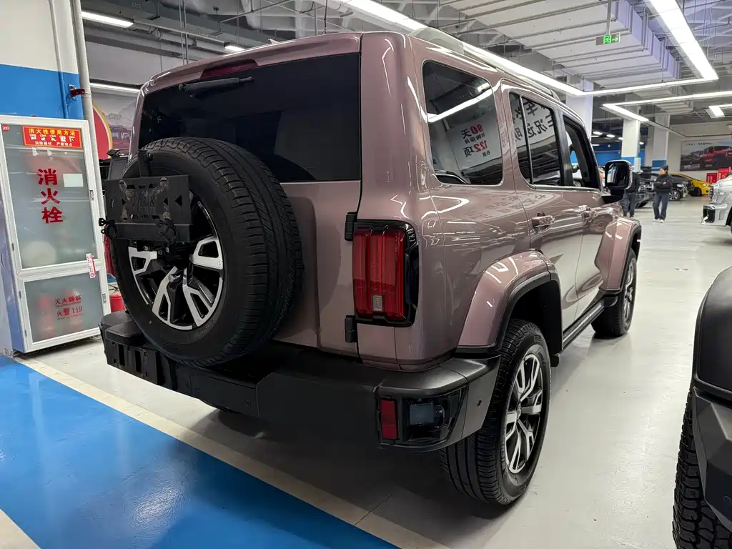 Tank 300 2023 City Edition 2.0T Very Stylish купить на сайте DeffCars