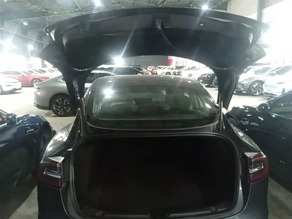 Model 3 2020 Standard Range Rear Drive Upgraded Version купить на сайте DeffCars