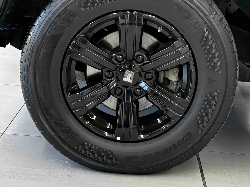 Tank 300 2021 Off-Road Version 2.0T Conqueror купить на сайте DeffCars