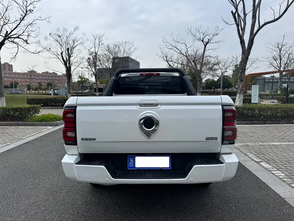 King Kong Cannon 2023 2.0T automatic gasoline two-wheel drive elite flat box GW4C20C купить на сайте DeffCars