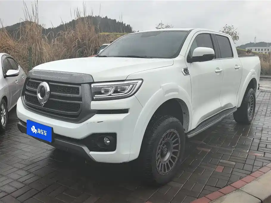 Cannon 2023 2.0T passenger version automatic diesel four-wheel drive comfort type GW4D20M купить на сайте DeffCars