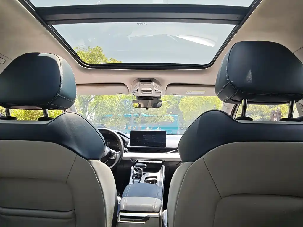 Xingrui 2021 2.0TD Premium Model купить на сайте DeffCars
