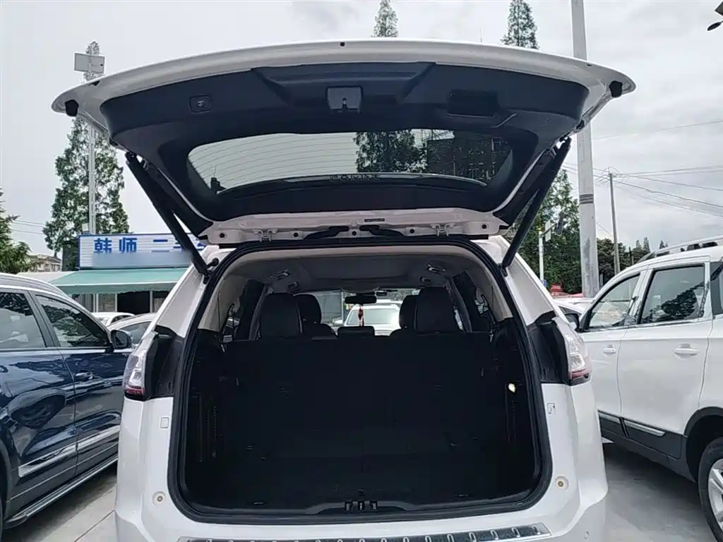 Ruijie 2018 EcoBoost 245 2WD Hao Rui 7-seater National VI купить на сайте DeffCars