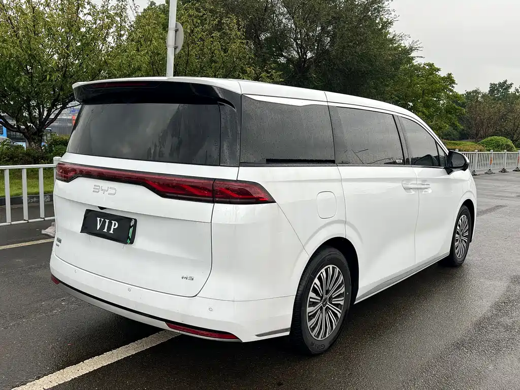 BYD M9 2025 1060 Pilot Edition купить на сайте DeffCars