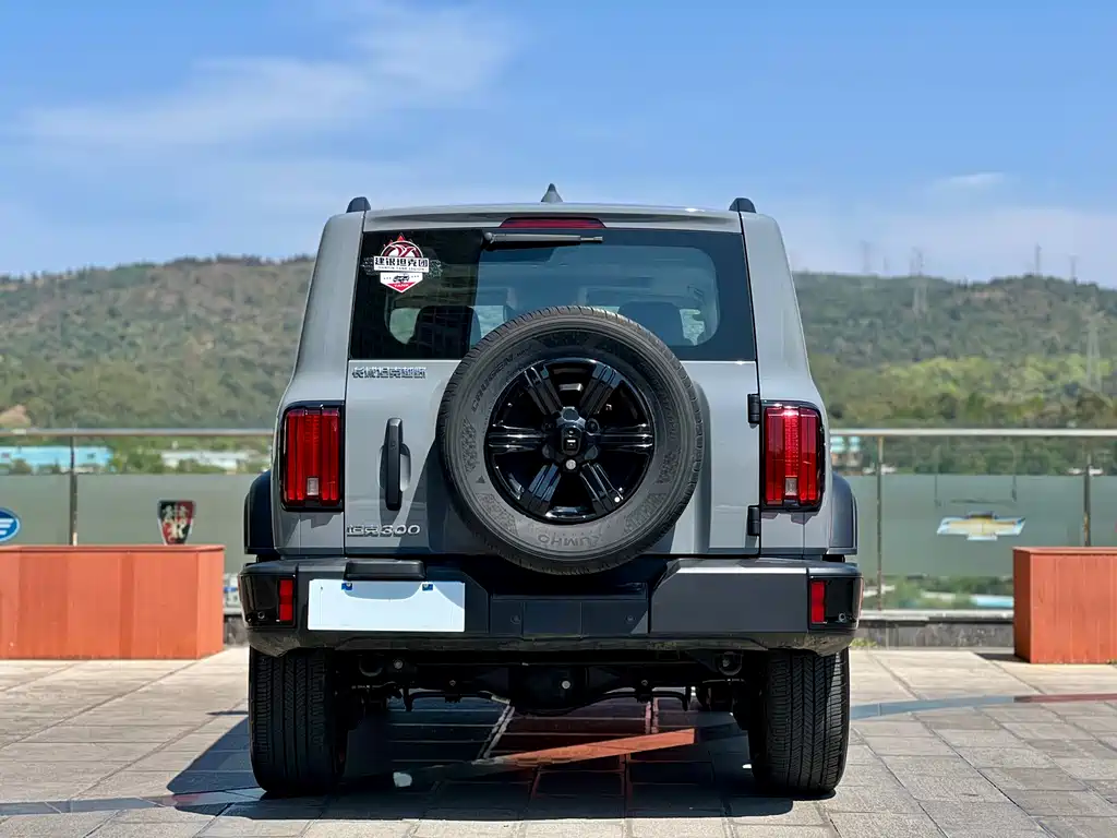 Tank 300 2025 2.4T diesel version купить на сайте DeffCars
