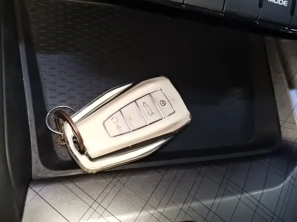 Xingrui 2021 2.0TD luxury model купить на сайте DeffCars