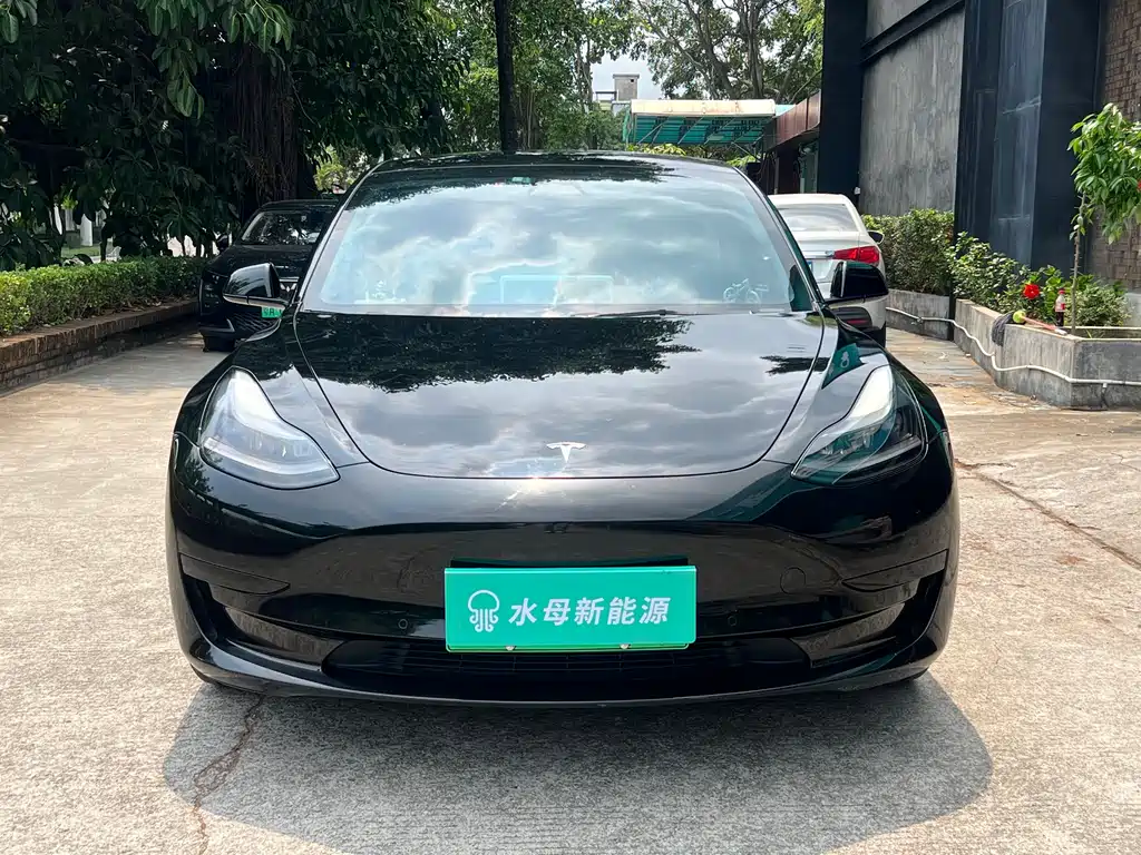 Model 3 2022 rear-wheel drive version купить на сайте DeffCars