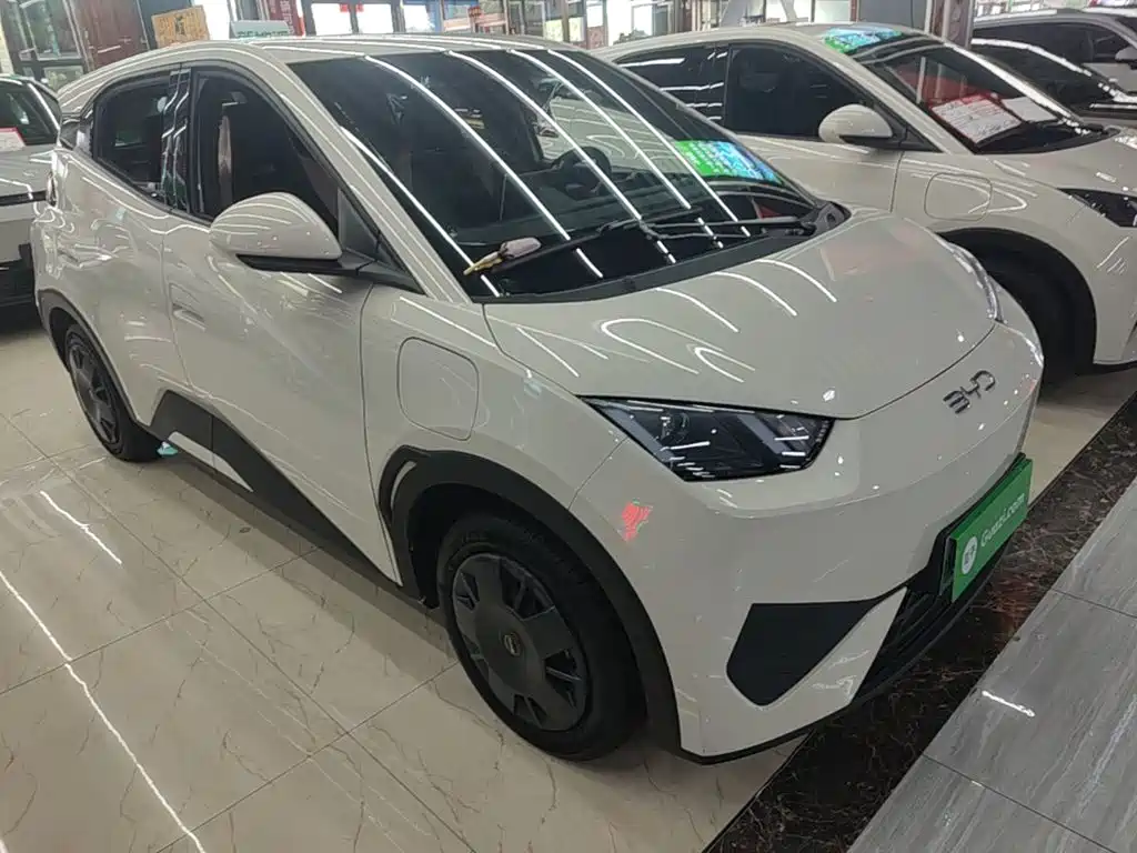 Seagull 2025 Smart Driving Edition 305km Dynamic купить на сайте DeffCars