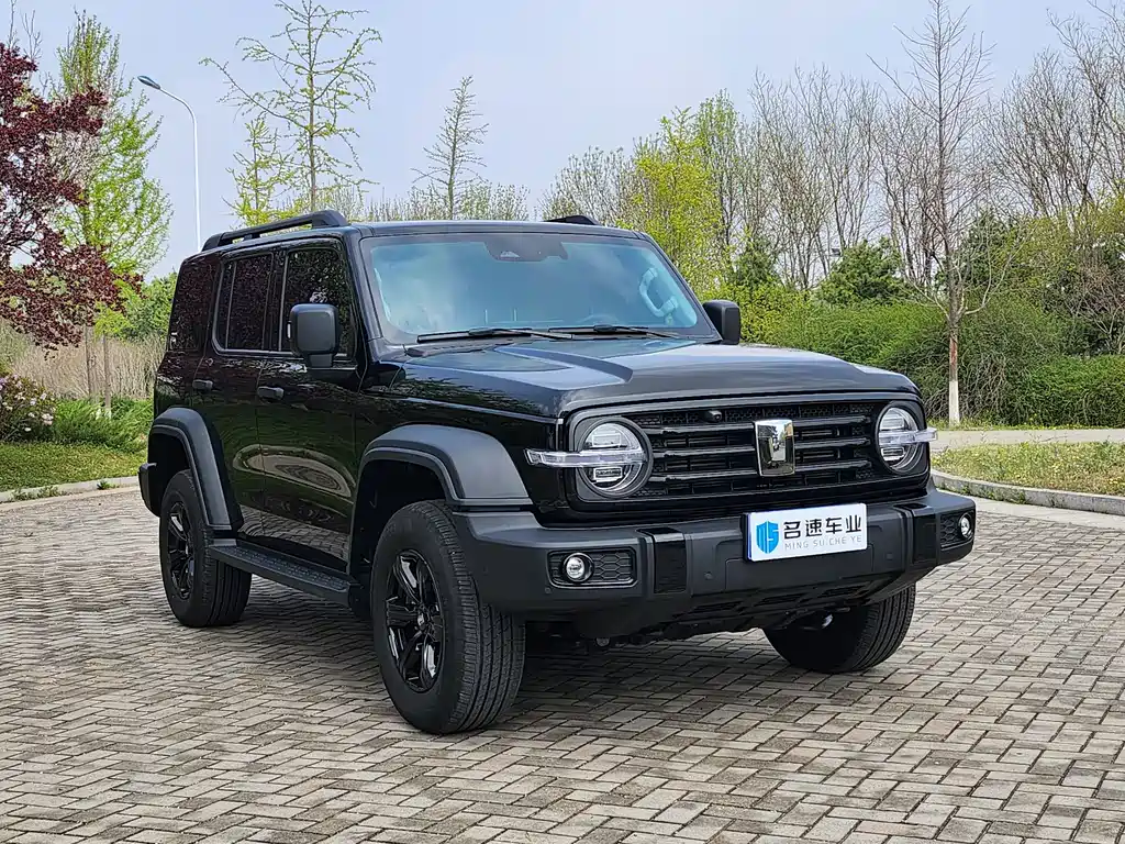 Tank 300 2025 2.0T Gasoline Conqueror купить на сайте DeffCars