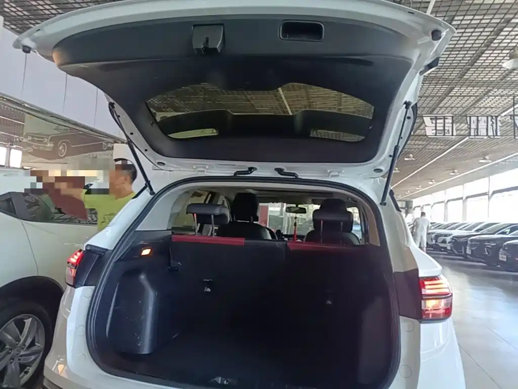 Binyue 2021 1.4T DCT Platinum Edition купить на сайте DeffCars