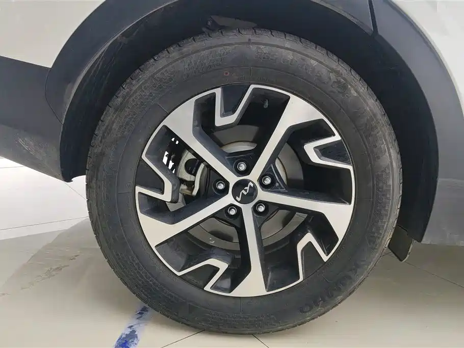 Lion Platinum Extension 2023 1.5T two-wheel drive premium version купить на сайте DeffCars