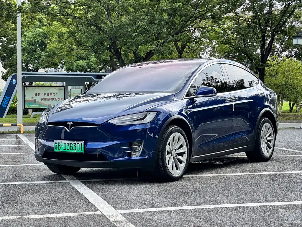 Model X 2020 long battery life upgraded version купить на сайте DeffCars