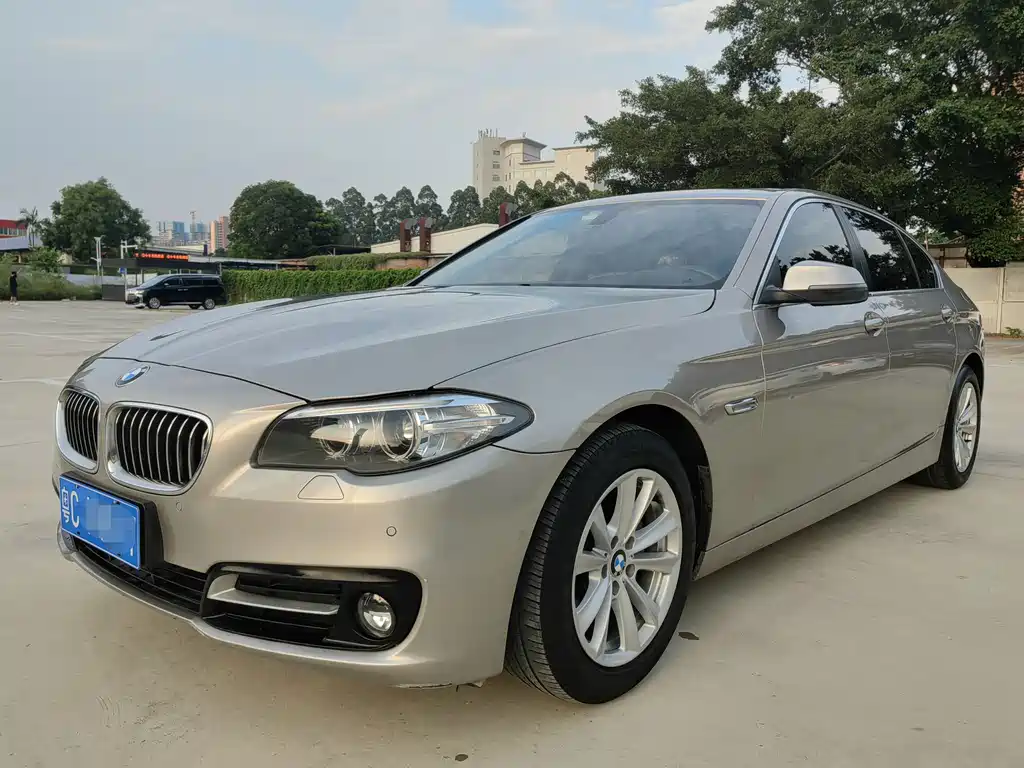 BMW 5 Series 2014 520Li Elegant купить на сайте DeffCars