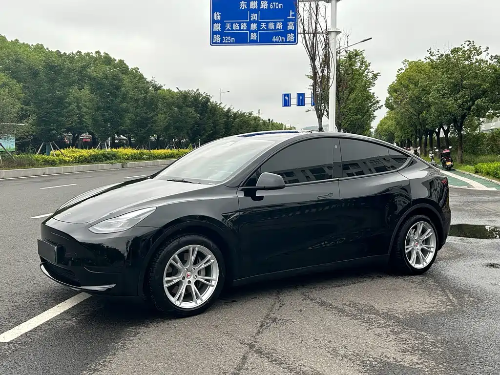 Model Y 2022款 后轮驱动版 купить на сайте DeffCars