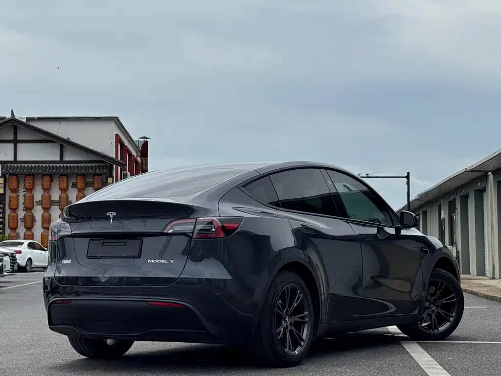 Model Y 2024 rear-wheel drive version купить на сайте DeffCars