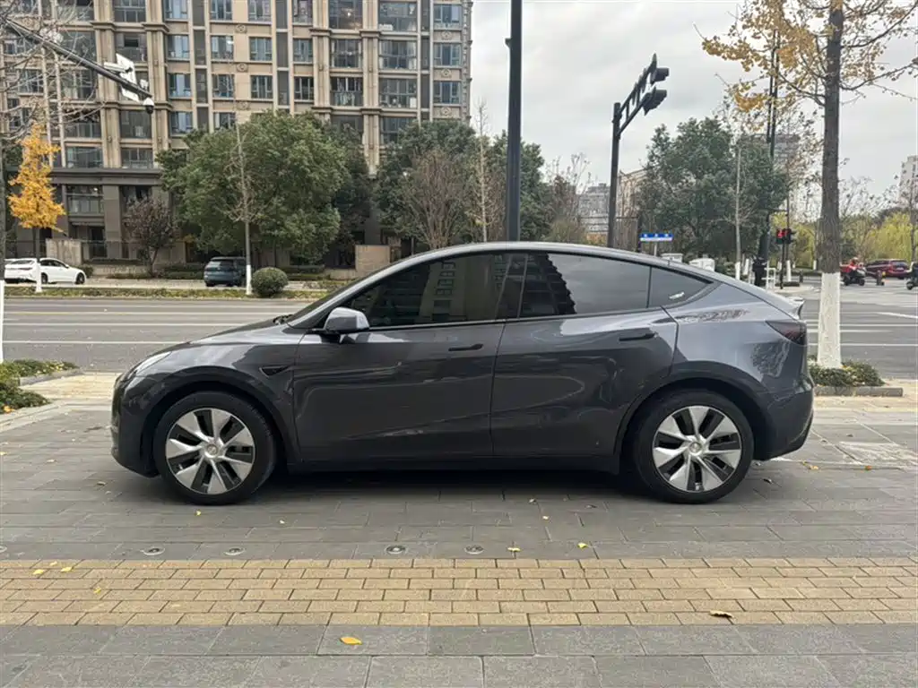 Model Y 2021 long-range all-wheel drive version купить на сайте DeffCars