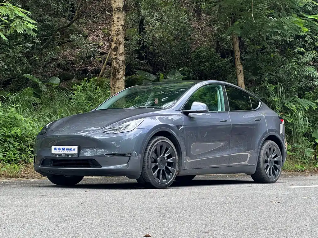 Model Y 2022 Modified Long Range All-Wheel Drive Edition купить на сайте DeffCars