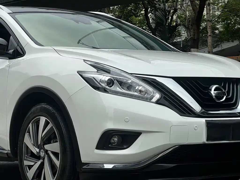 Loulan 2019 2.5 S/C HEV XL 4WD Hybrid Intelligent Premium Edition National VI купить на сайте DeffCars