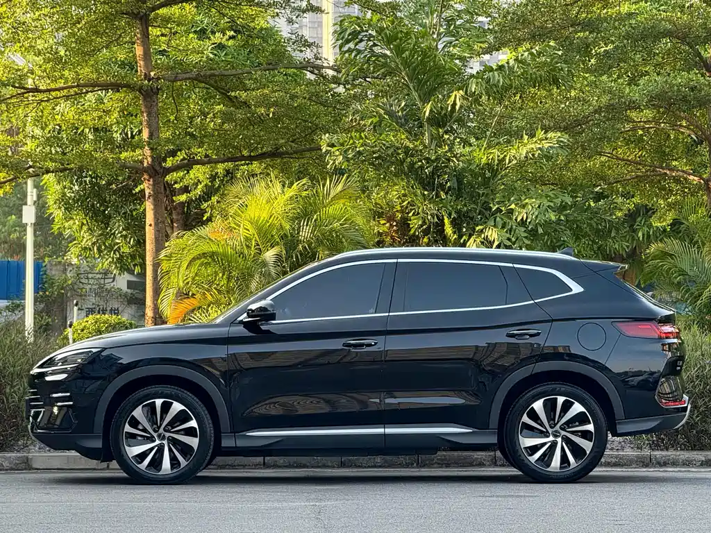 Song PLUS New Energy 2023 Champion Edition DM-i 110KM Flagship Model купить на сайте DeffCars