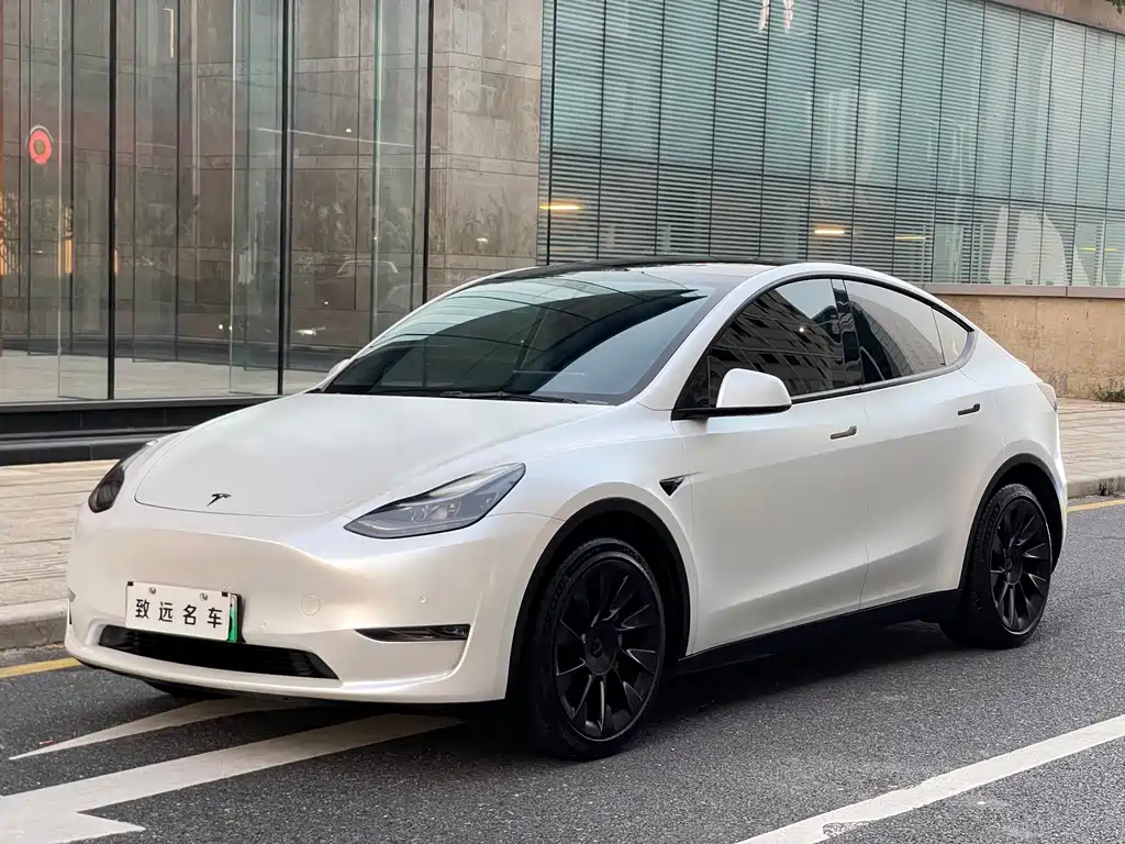 Model Y 2021 standard range rear-wheel drive version купить на сайте DeffCars