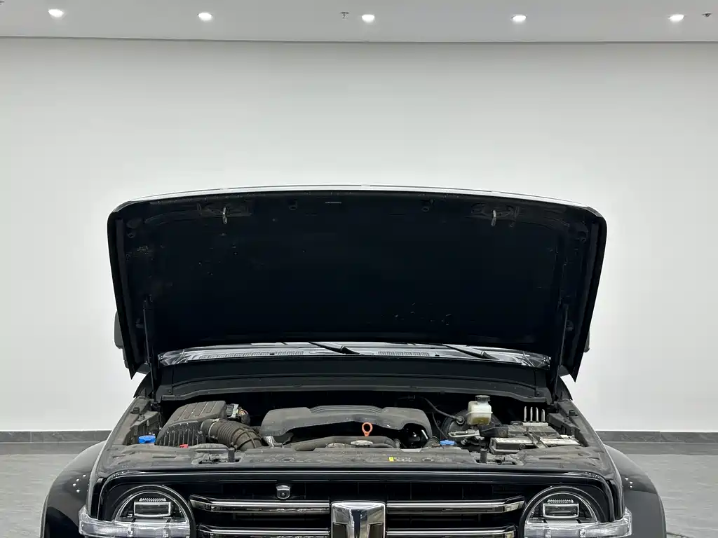 Tank 300 2021 City Edition 2.0T Very Stylish купить на сайте DeffCars