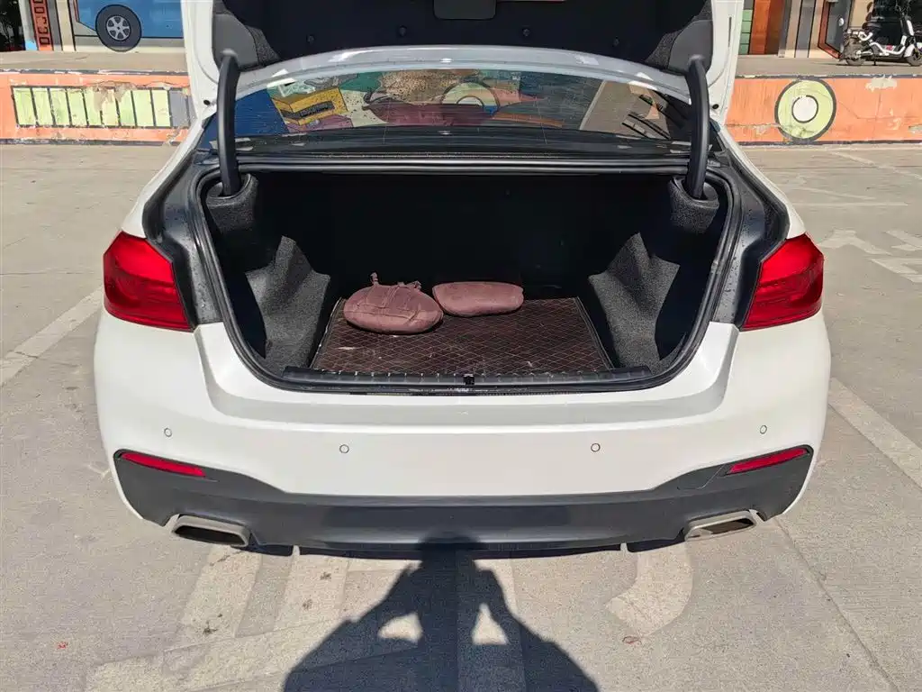 BMW 5 Series 2020 530Li Leading M Sports Package купить на сайте DeffCars