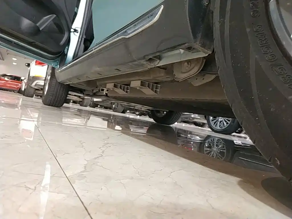 V 2022 Trendy 300 Lite Lithium Iron Phosphate купить на сайте DeffCars