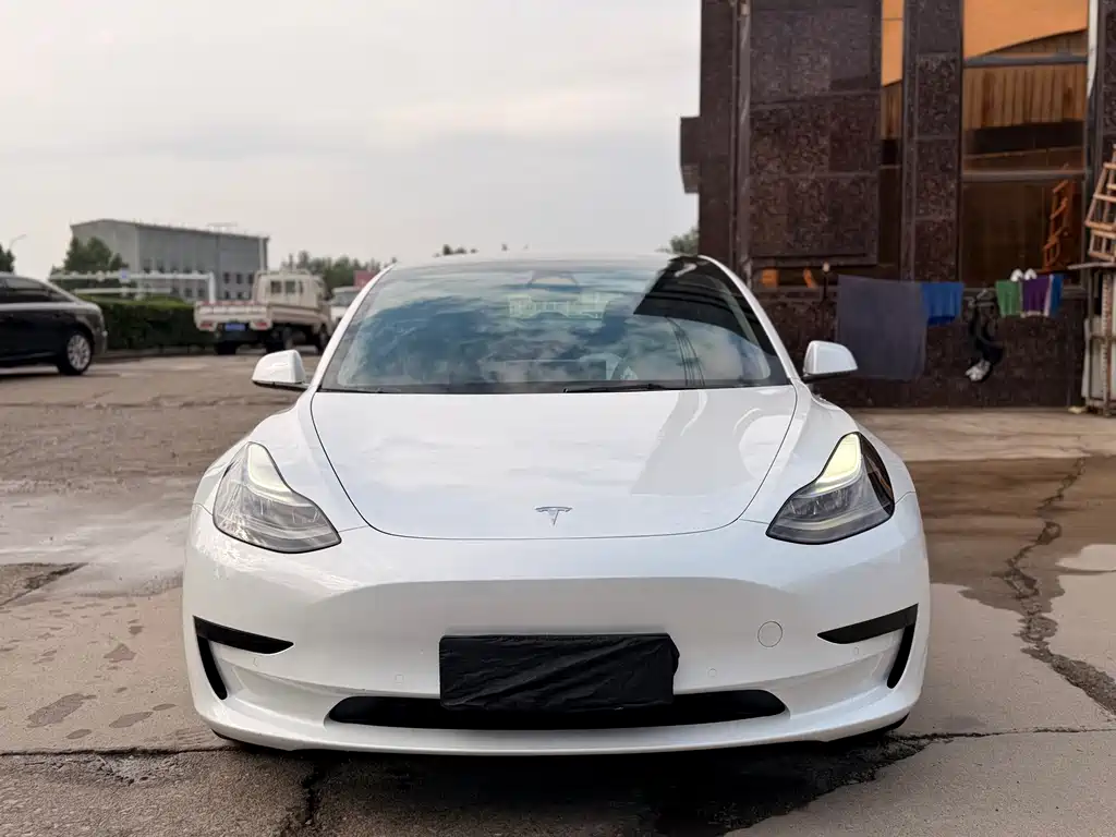 Model 3 2022 rear-wheel drive купить на сайте DeffCars