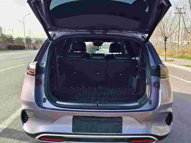 Denza X 2020 PHEV flagship version купить на сайте DeffCars
