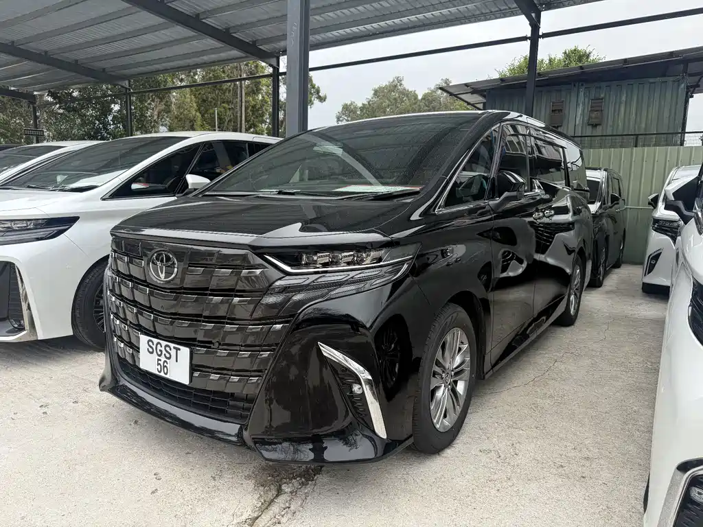 Alfa 2025 Shuangqing 2.5L Premium Gold Edition купить на сайте DeffCars