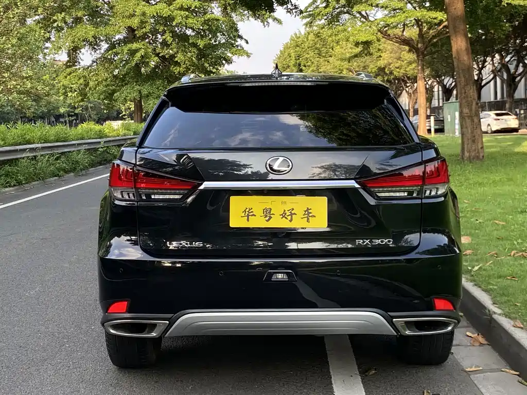 Lexus RX 2020款 改款 300 四驱典雅版 купить на сайте DeffCars