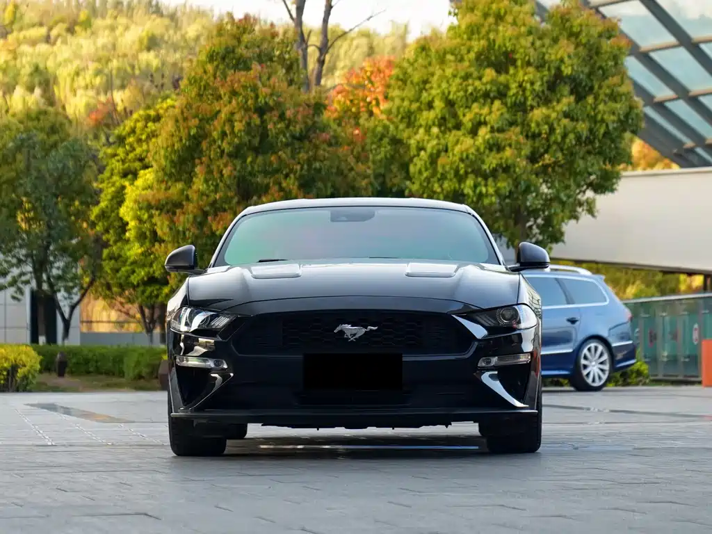 Mustang 2020 2.3L EcoBoost Performance Advanced Edition купить на сайте DeffCars