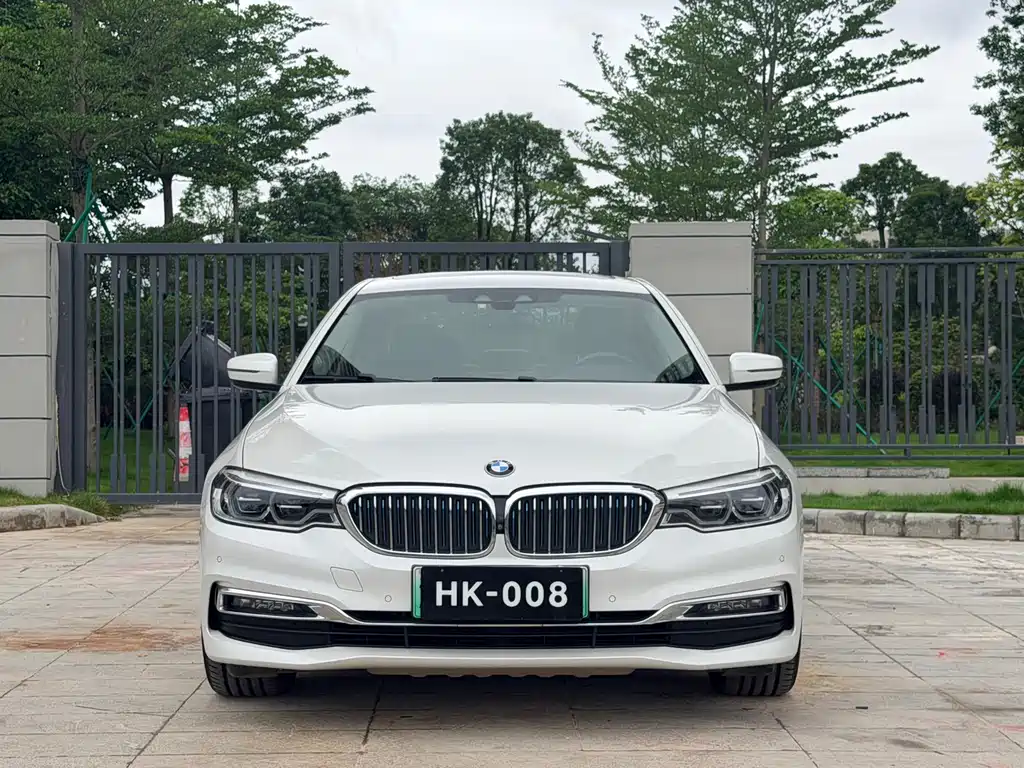 BMW 5 Series New Energy 2019 530Le Luxury Package купить на сайте DeffCars