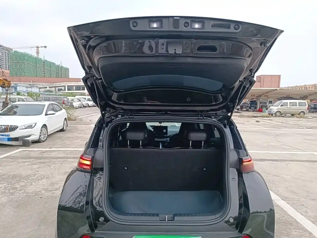 Seagull 2023 Vitality Edition купить на сайте DeffCars