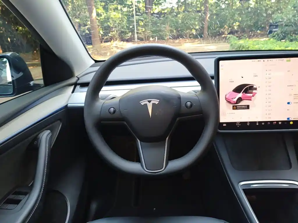 Model Y 2024 rear-wheel drive version купить на сайте DeffCars