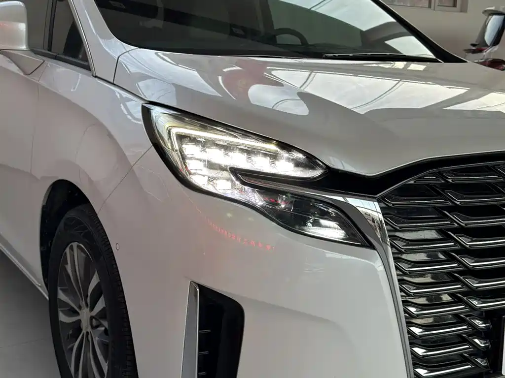Buick GL8 2023 ES Lu Zun Exclusive Model купить на сайте DeffCars