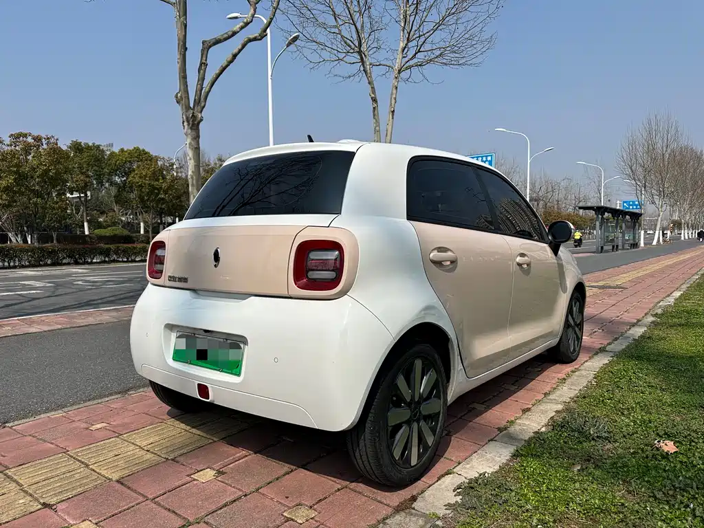 Euler Black Cat 2021 351km standard model купить на сайте DeffCars