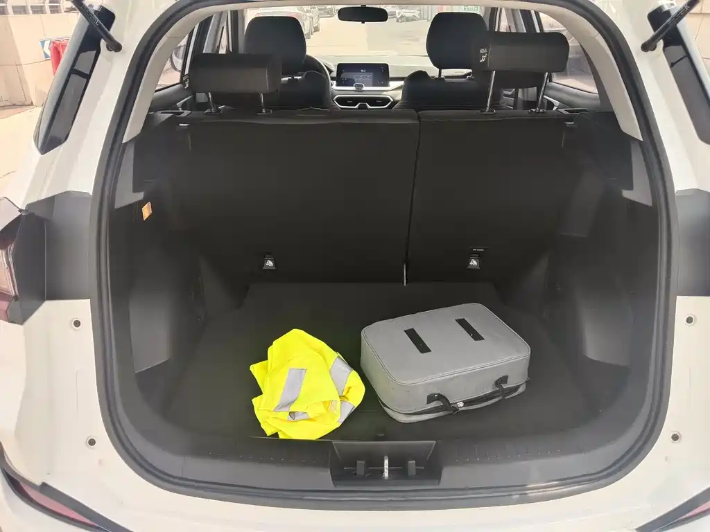 Pro EV 2022 401km Delight Edition купить на сайте DeffCars