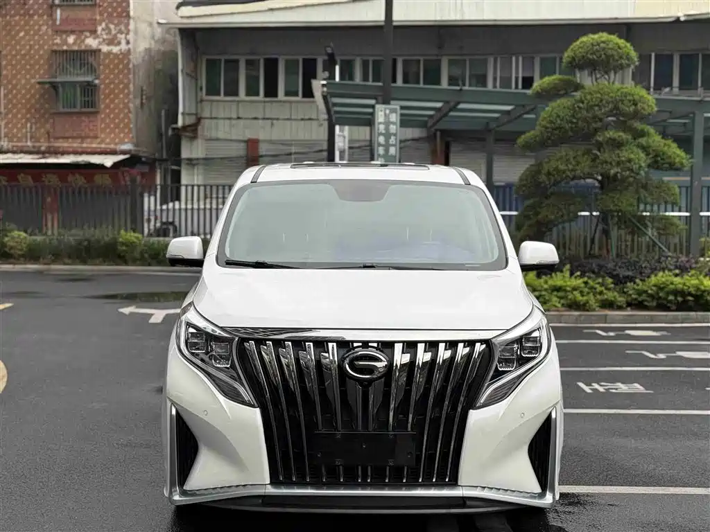Trumpchi M8 2021 Master Series 390T Extreme Edition купить на сайте DeffCars