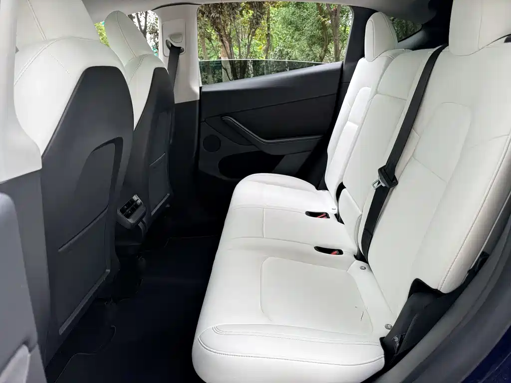 Model Y 2022 rear-wheel drive купить на сайте DeffCars