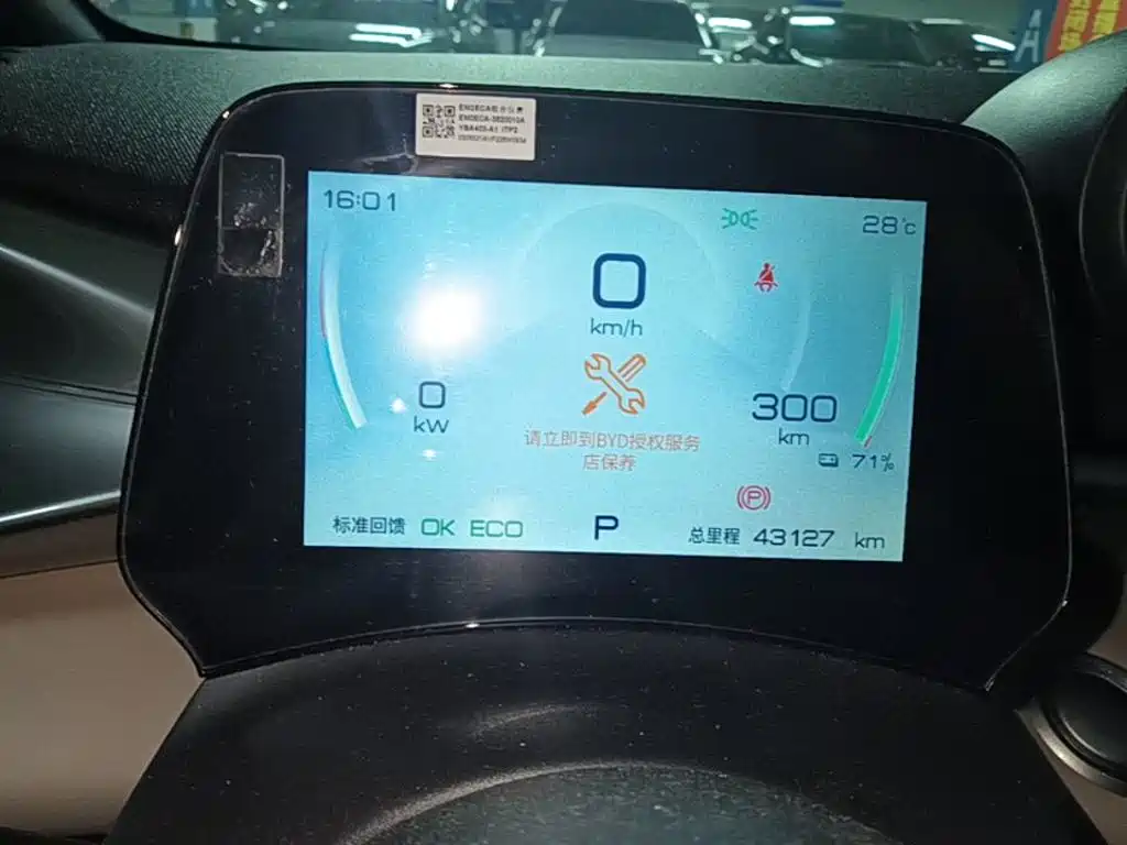 Dolphin 2023 420km Free Edition купить на сайте DeffCars