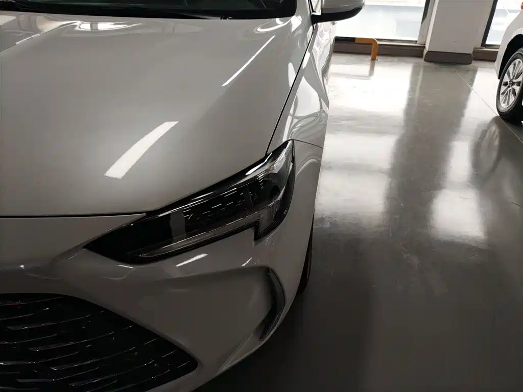 Regal 2024 25T Super Edition купить на сайте DeffCars