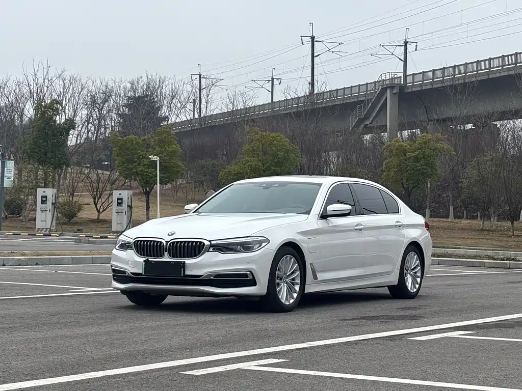 BMW 5 Series New Energy 2020 Mileage Upgraded Version 530Le Luxury Package купить на сайте DeffCars