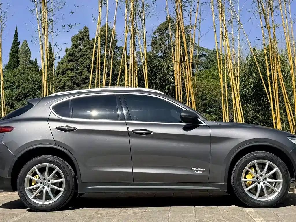 Stelvio 2020 2.0T 280HP Deluxe Edition купить на сайте DeffCars