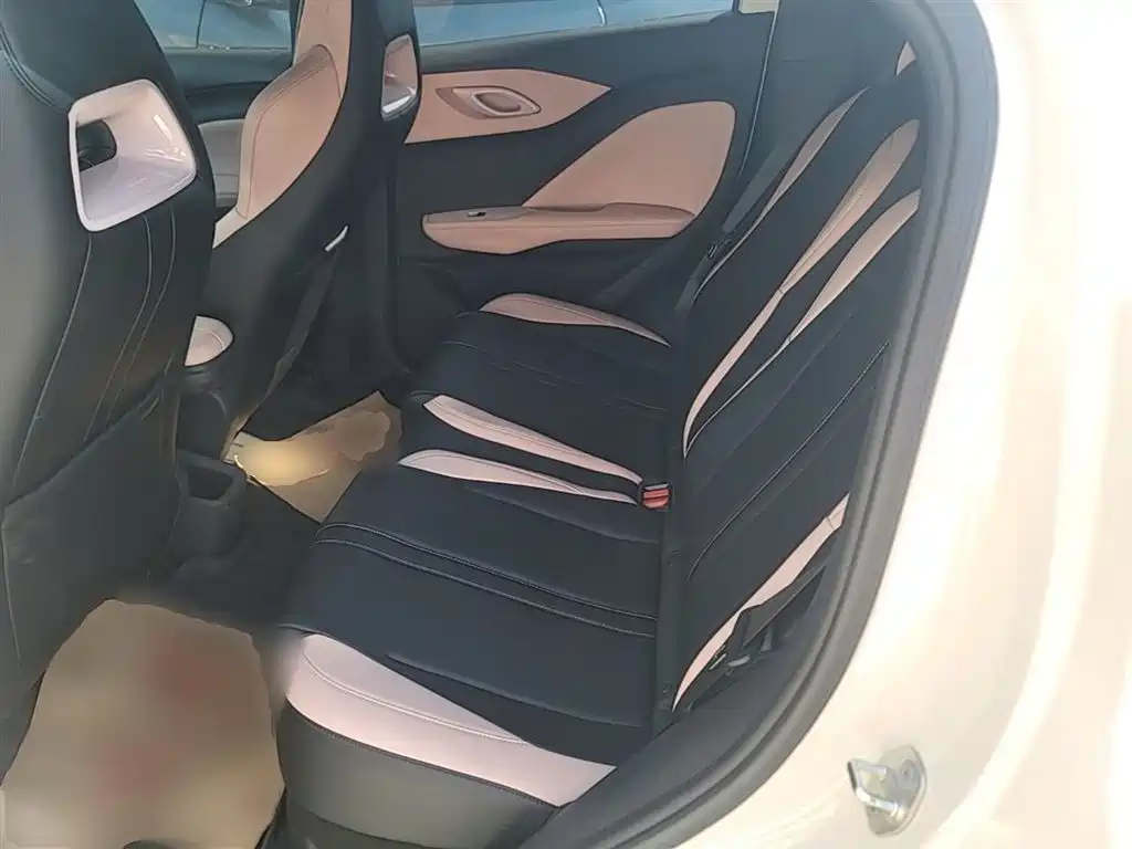 Seagull 2025 305km active version купить на сайте DeffCars