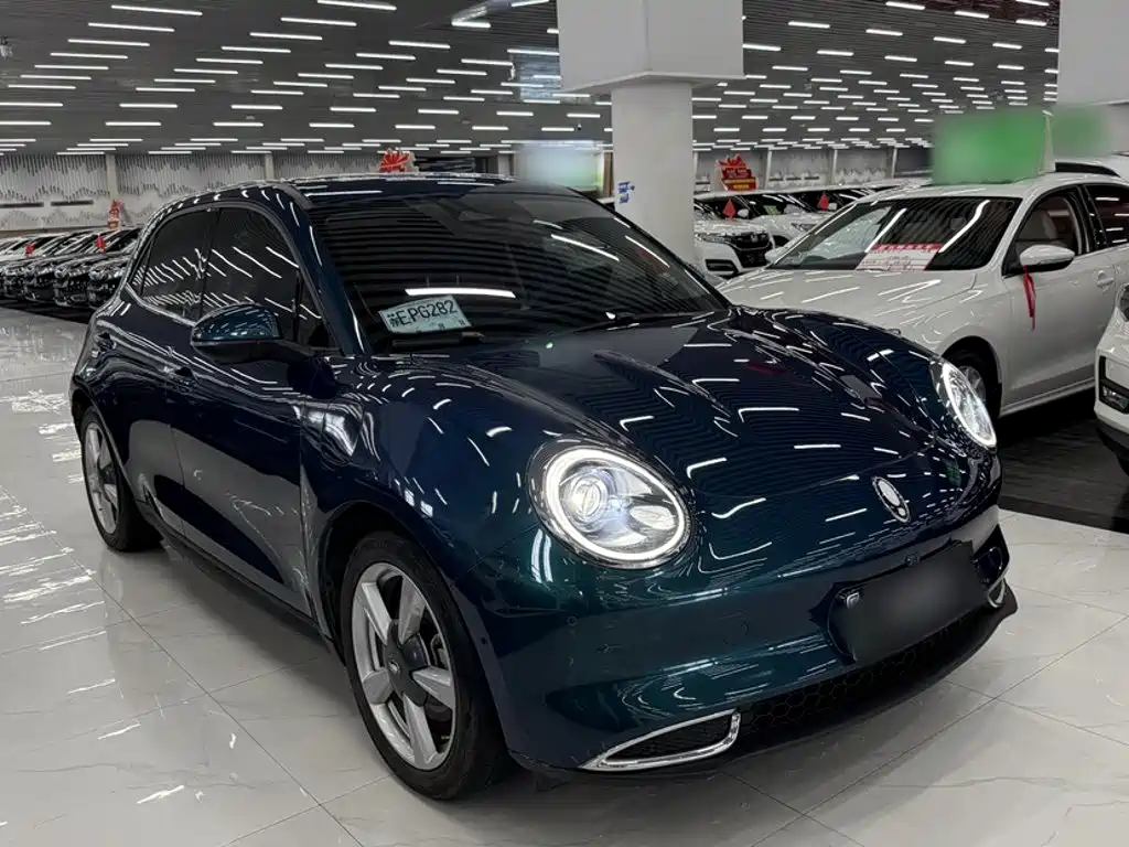 Euler Good Cat 2021 Model 400km Standard Range Athena Edition Lithium Iron Phosphate купить на сайте DeffCars