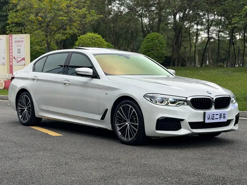 BMW 5 Series 2020 530Li Leading M Sports Package купить на сайте DeffCars